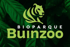 Ven a disfrutar de un día en Buin Zoo (Fast Pass) - Panoramas con niños